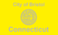  Bristol C Tflag