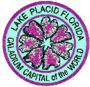  Lake Placid Logo