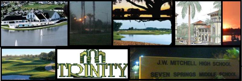 Trinity Florida