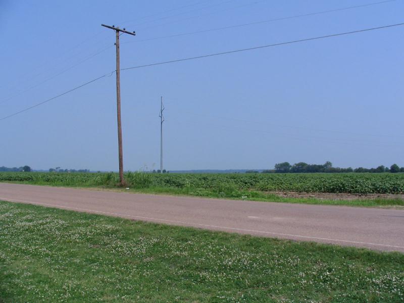  Planted field in Lula, Mississippi, on June 2, 2006