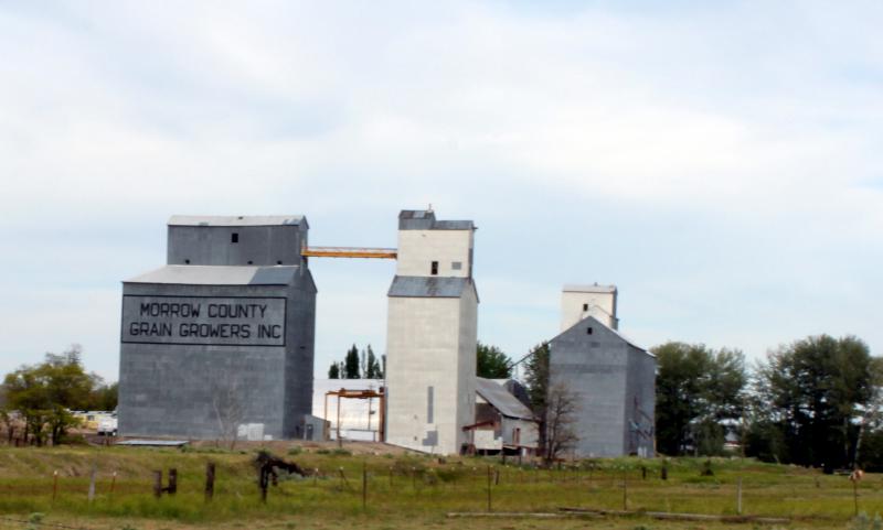  Grain elevators in Lexington Oregon
