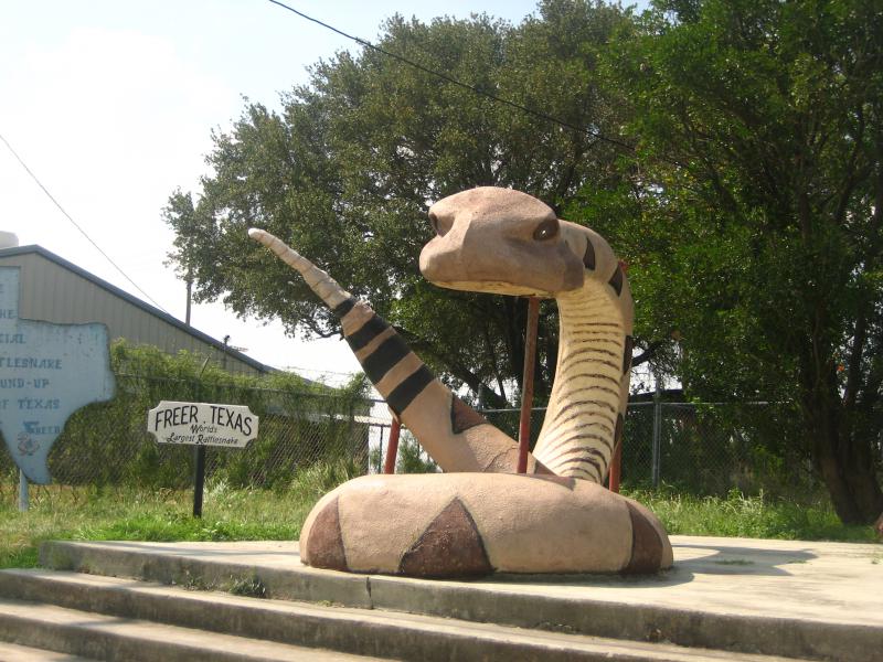  Rattlesnake monument in Freer, Texas I M G 0964