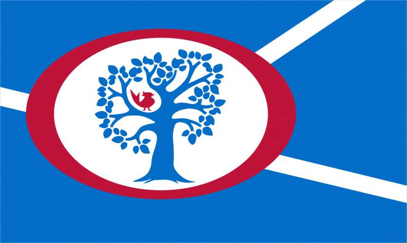  Annandale Flag