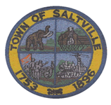  Saltville Seal